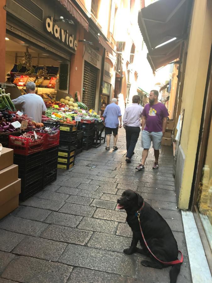 Casa Salbego R&B Bed & Breakfast Bologna Bagian luar foto
