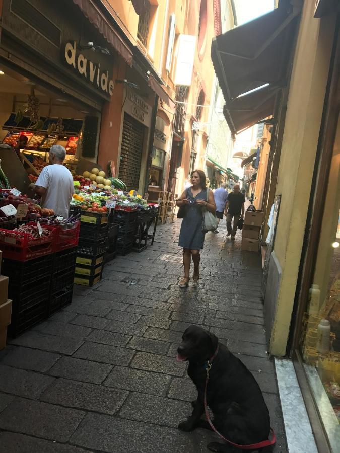 Casa Salbego R&B Bed & Breakfast Bologna Bagian luar foto
